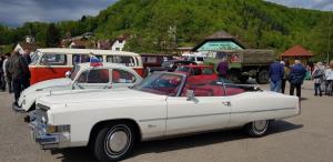 Mirna - 13 blagoslov stardoobnikov, foto Lapego (5)